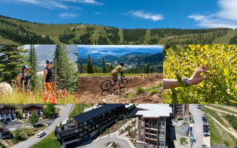 image overlayed with hiking, biking, and huckleberry picking photos