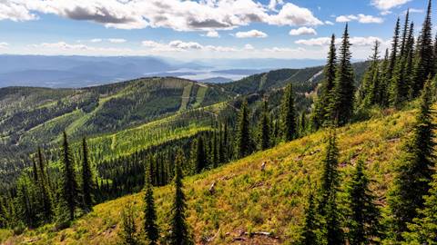 image of people hiking up schweitzer slopes during the summer