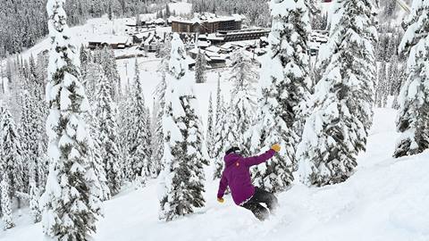 snowboarder going through trees with Schweitzer Village in the background