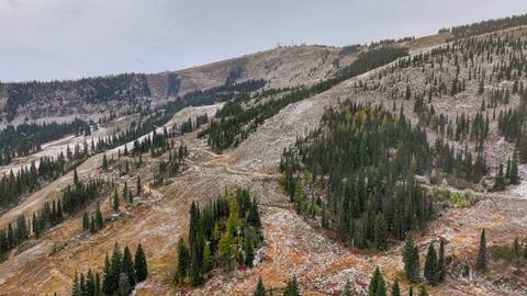 image of first snow dusting Schweitzer mountain