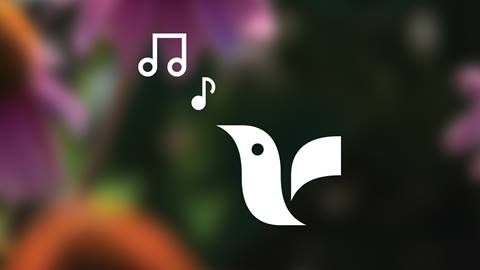 crows bench logo with music notes