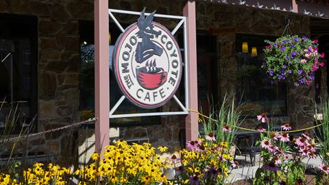 mojo coyote cafe with summer flowers blooming