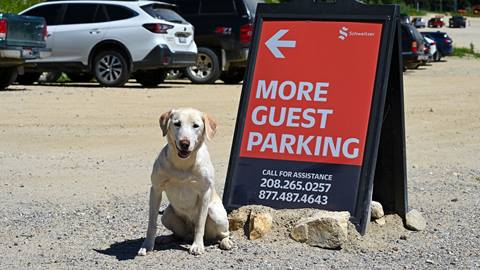 annie the avalanche dog by parking sign