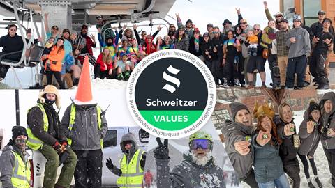 schweitzer values