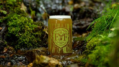 image of glass in creek for fall fest