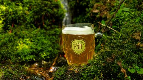 image of beer mug in moss