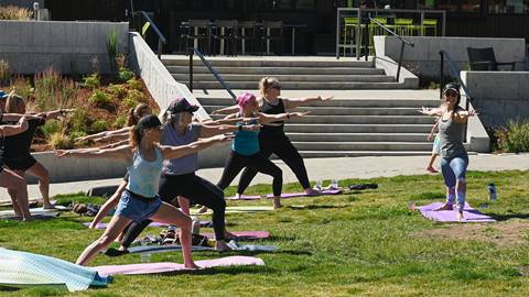group of people doing yoga poses on grass at Schweitzer for event