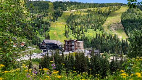 Schweitzer lodging with slopes background and wildflowers in the foreground