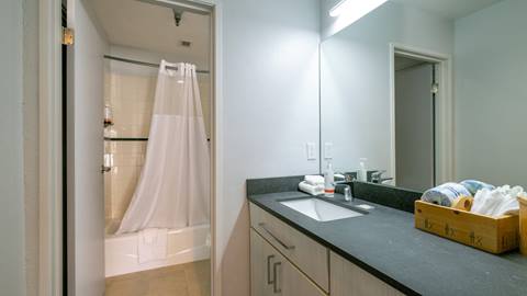 image of bathroom at Selkirk condo