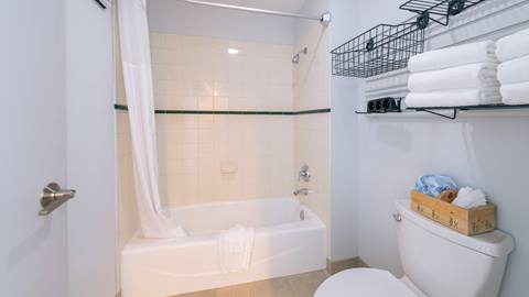 image of bathroom at Selkirk Condo at Schweitzer