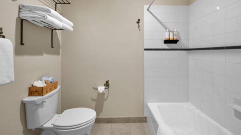 image of bathroom at Selkirk Condo at Schweitzer