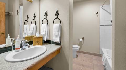 image of bathroom at Selkirk Condo at Schweitzer