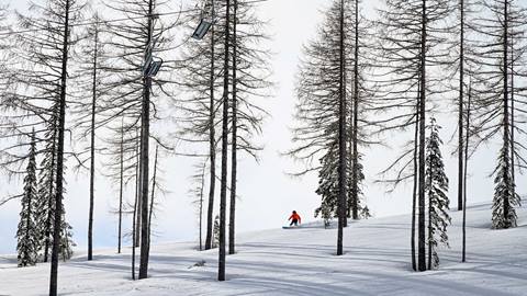 rider on performance snowboard rentals at schweitzer carving through a quiet tree lined slope