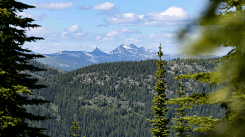 beautiful scenic view of mountains from Schweitzer
