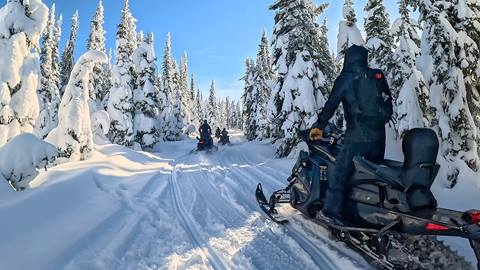 group snowmobiling through trees