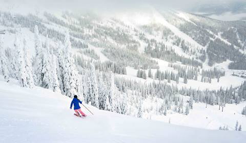 skier going down run with slopes background
