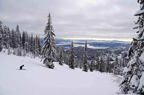 skier going down slopes