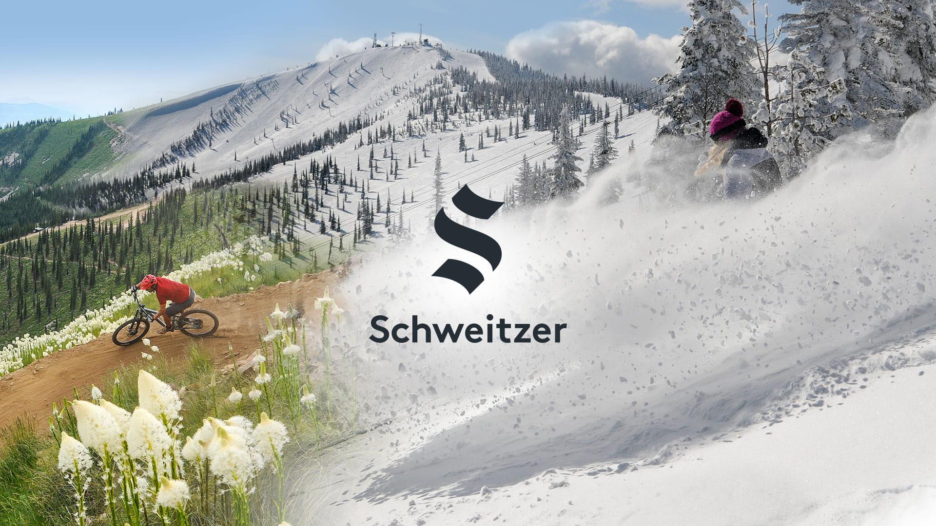 www.schweitzer.com