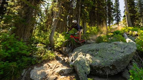 a mountain biker handles technical rock and forest terrain using a premium bike rental at schweitzer 