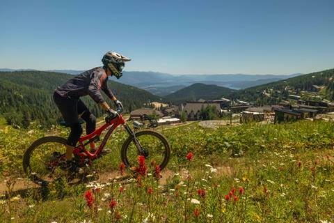 mountain biker with wildflowers 