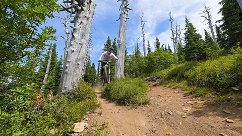 mountain biker coming down the trail