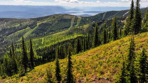 an aerial view of the mountain and slopes at Schweitzer
