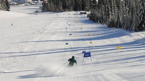 downhill racer competing in nastar alpine racing on a sunny day at schweitzer mountain resort