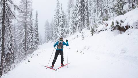 Nordic skier gliding through snowy trees on Schweitzer's Nordic trail with ski rental equipment