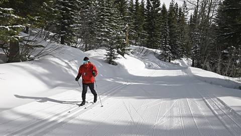 solo nordic skier on trail at schweitzer