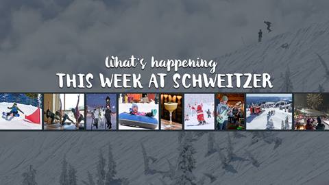 this week at schweitzer header with images of schweitzer life