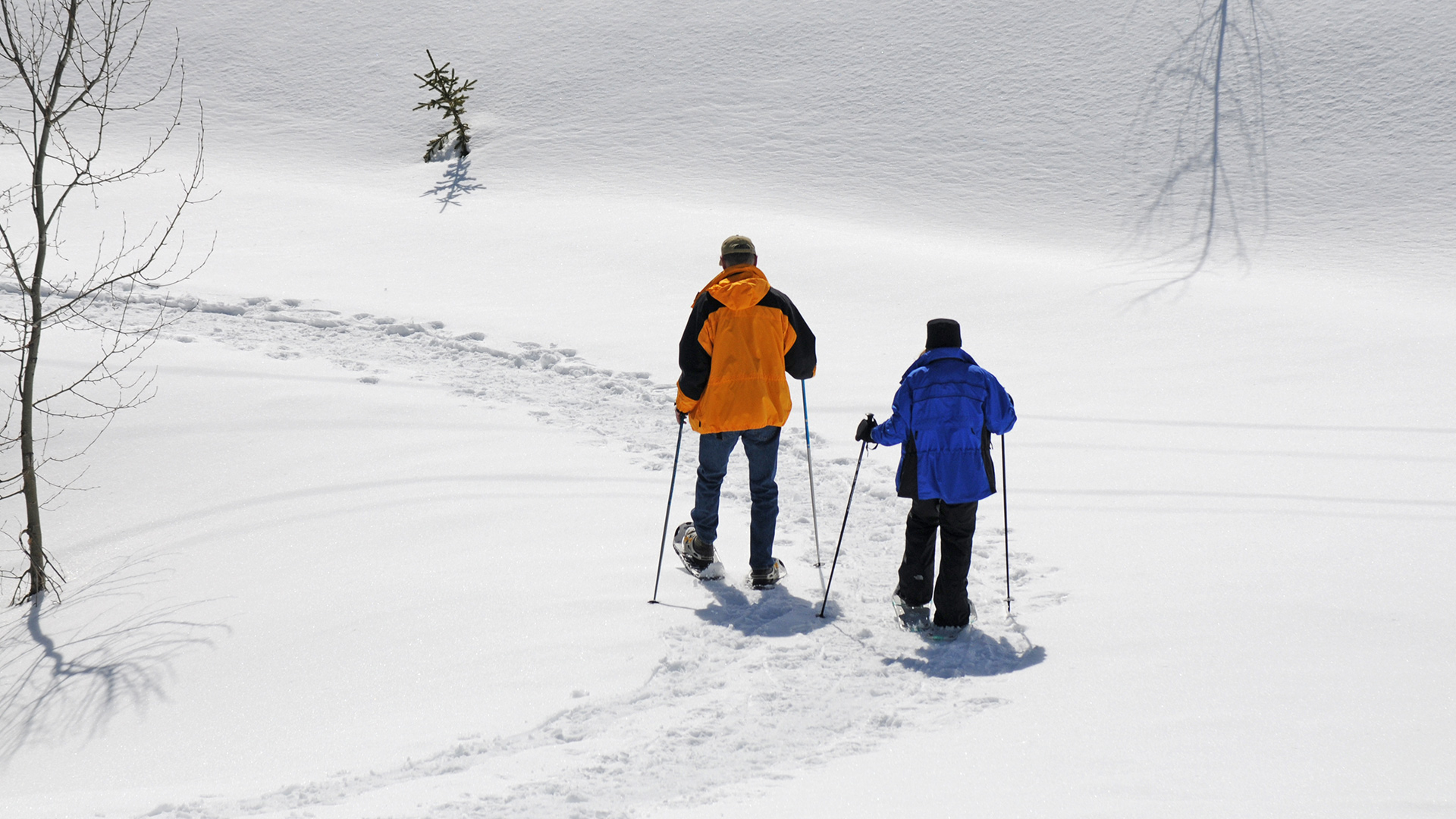 Timberline Lodge Snowshoeing Near Mt Hood Mt Hood Winter Hikes Top