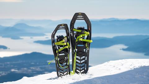 snowshoes sticking in the snow