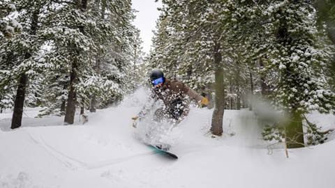 person snowboarding through trees and powder