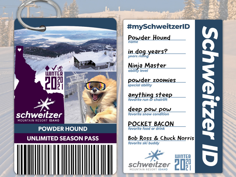 Schweitzer Powder Hound filled out a My Schweitzer ID card
